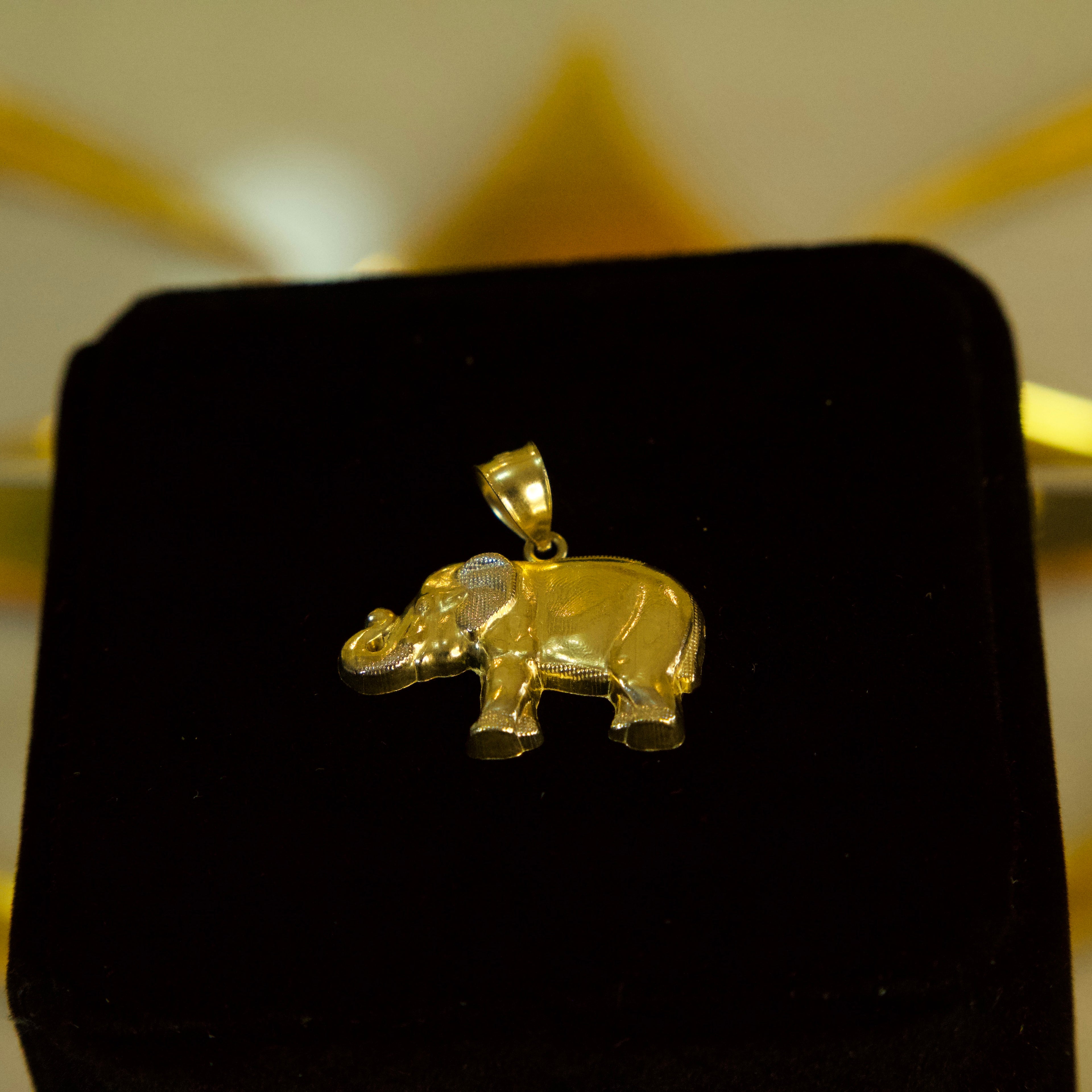 Dije de Elefante 10K