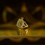 Anillo de Tortuga con Zirconias Blancas 10K