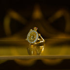 Anillo de Tortuga con Zirconias Blancas 10K